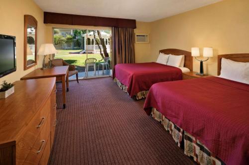 Room #26509633 at Golden Sails Hotel
