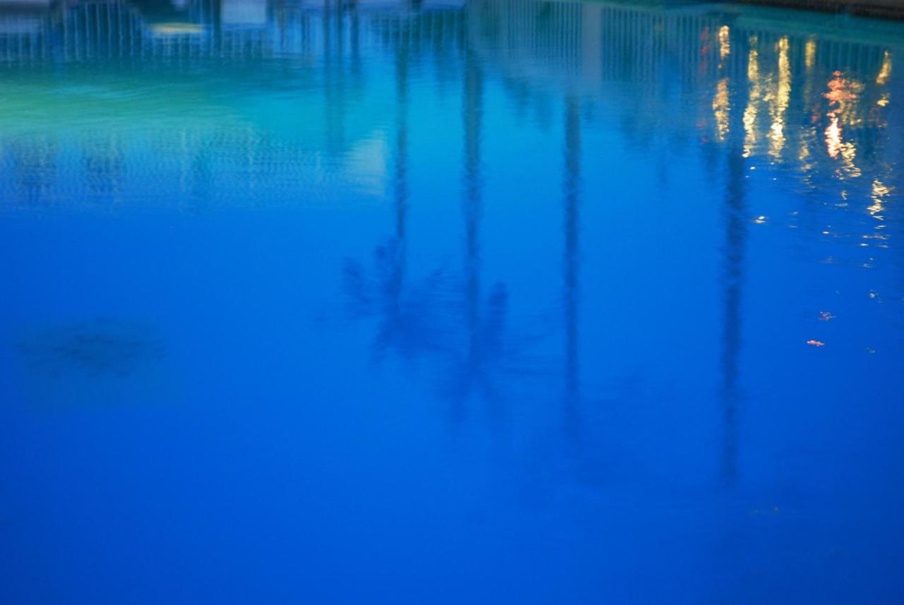 | Shalimar Resort