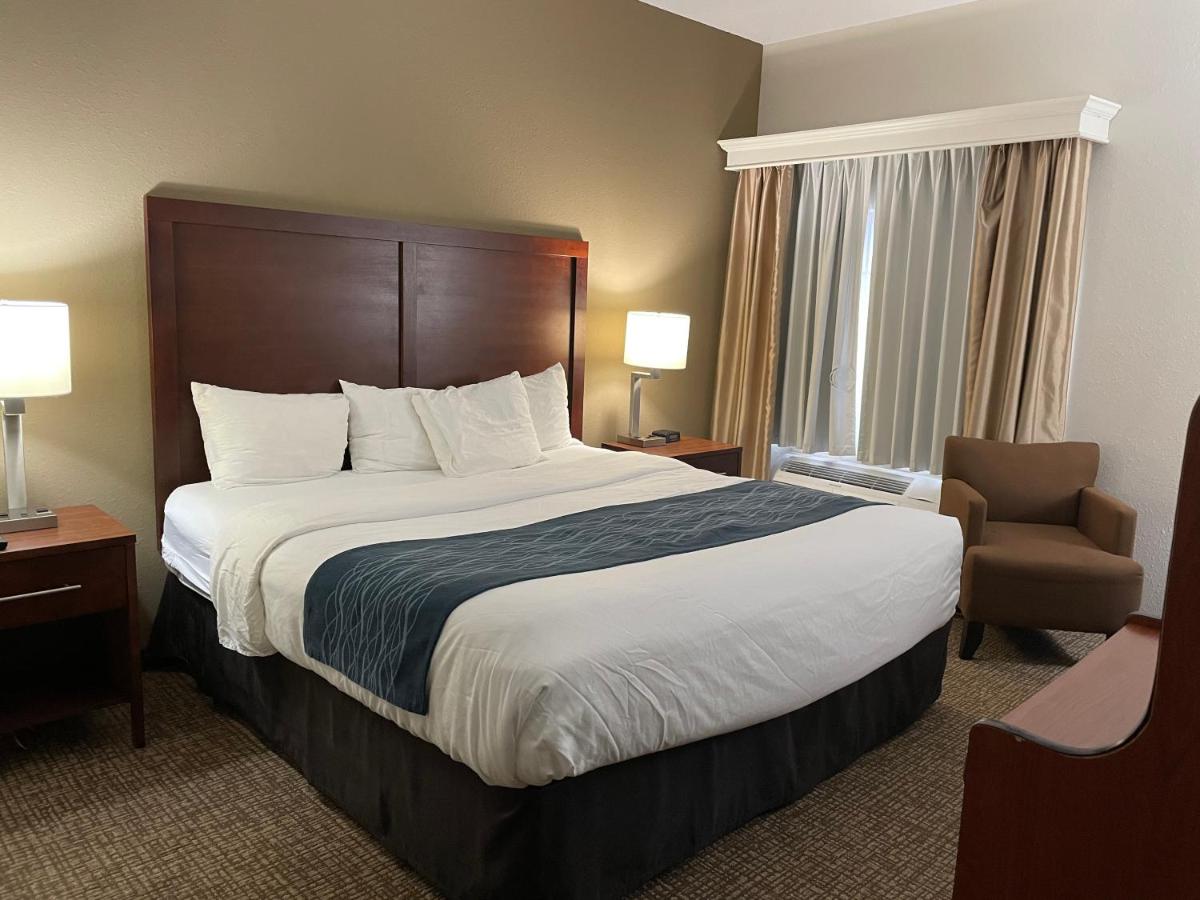 King Room - Non-Smoking at Comfort Inn Downtown - University Area