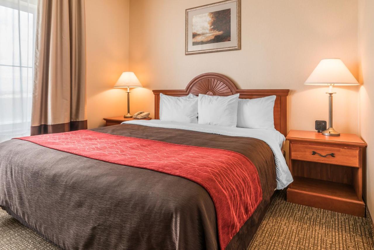 King Room - Non-Smoking at Comfort Inn & Suites Hermiston South