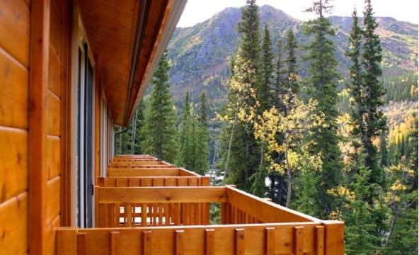 | Denali Grizzly Bear Resort