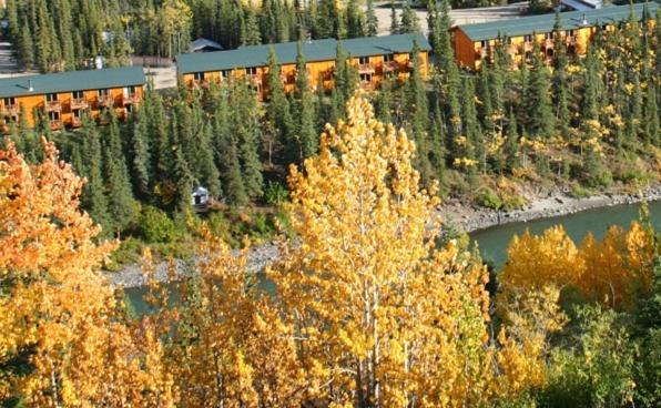 | Denali Grizzly Bear Resort