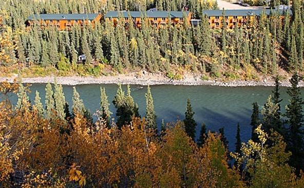 | Denali Grizzly Bear Resort