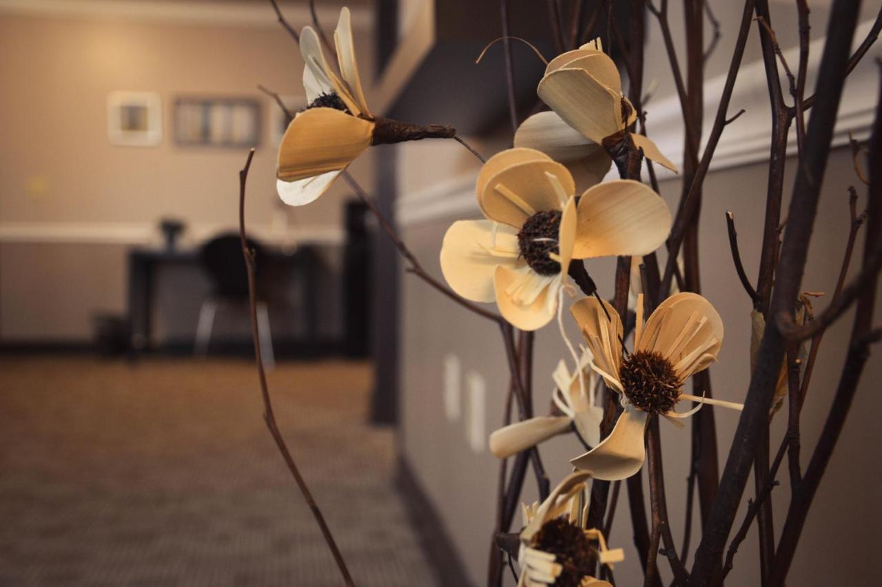  | Belvedere Inn Schenectady - Albany