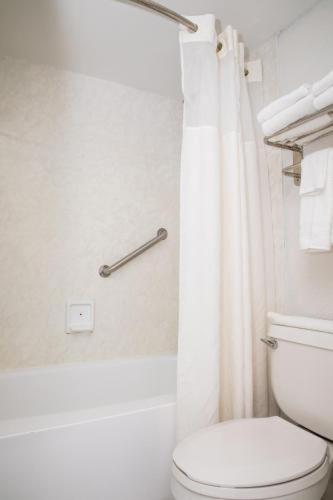 Room #24302067 at Days Inn by Wyndham Stuart