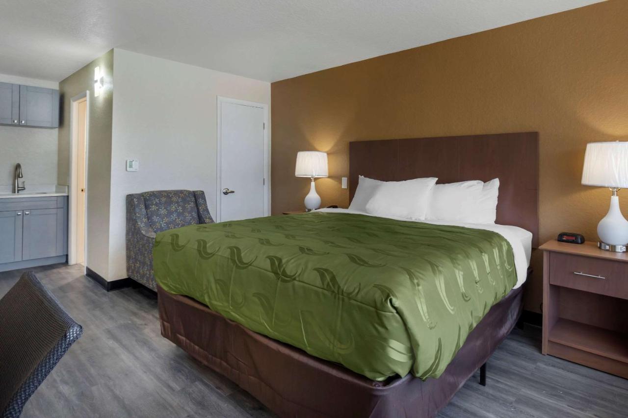 | Quality Inn Saint Petersburg North-Tampa Bay