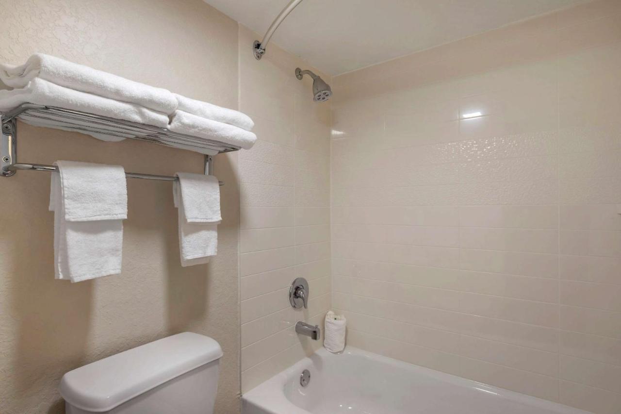 | Quality Inn Saint Petersburg North-Tampa Bay