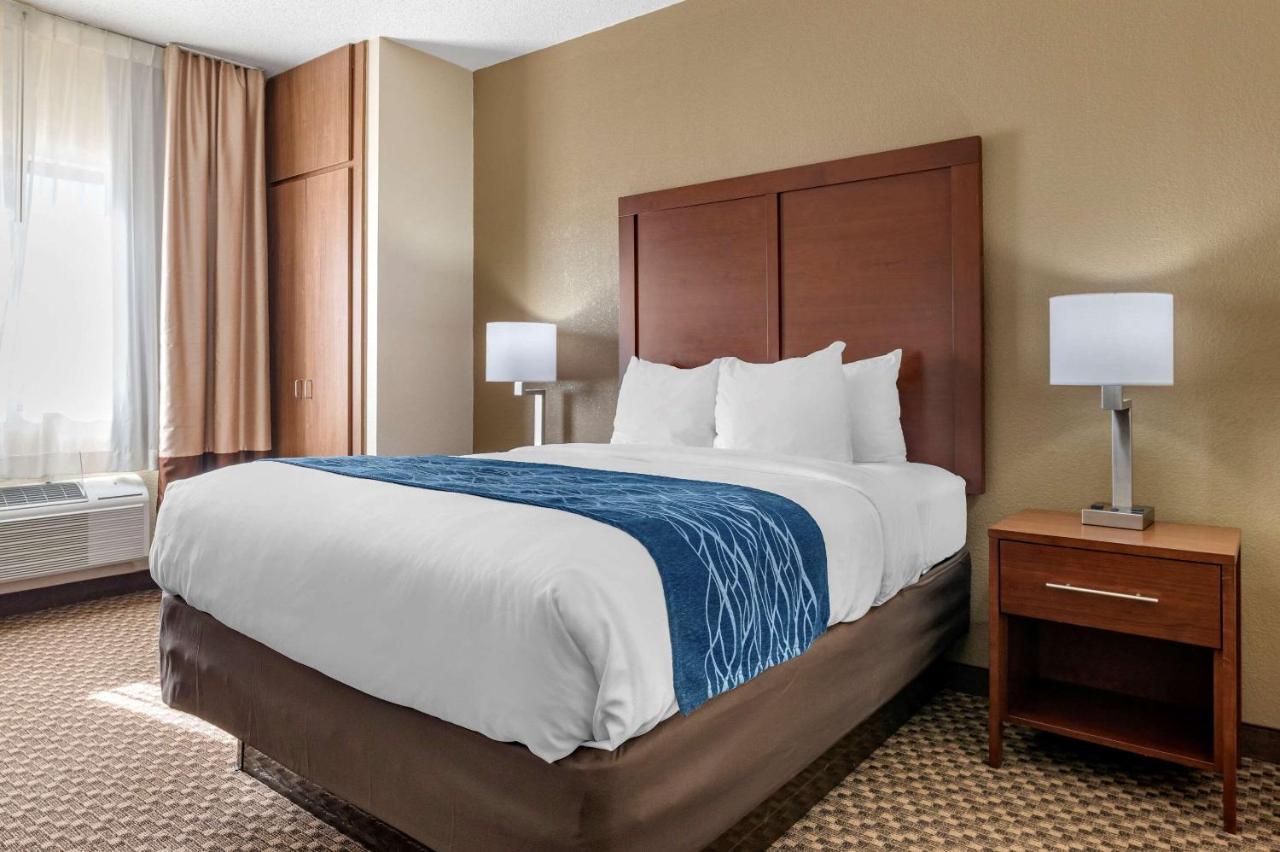 Queen Room - Accessible/Non-Smoking at Comfort Inn Near Kokomo Speedway