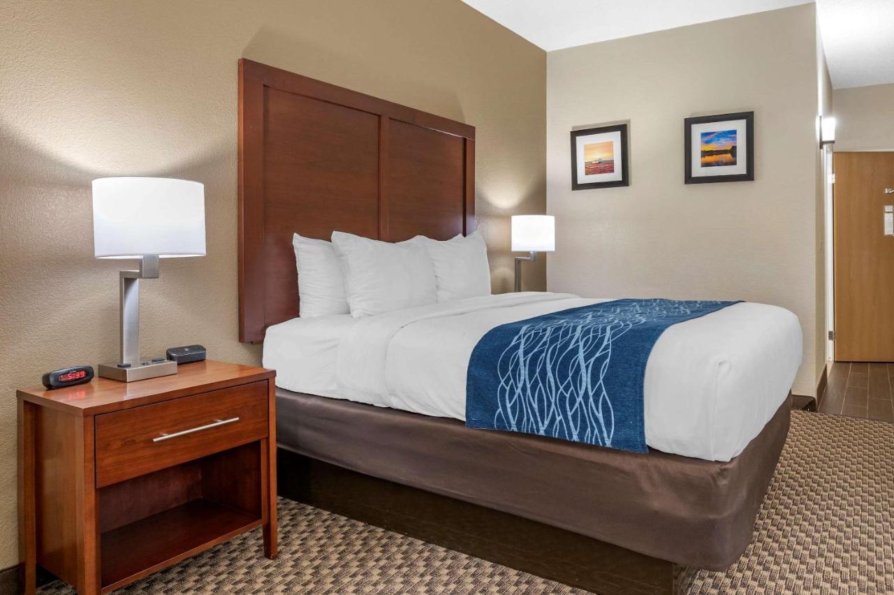 Queen Room - Accessible/Non-Smoking at Comfort Inn Near Kokomo Speedway