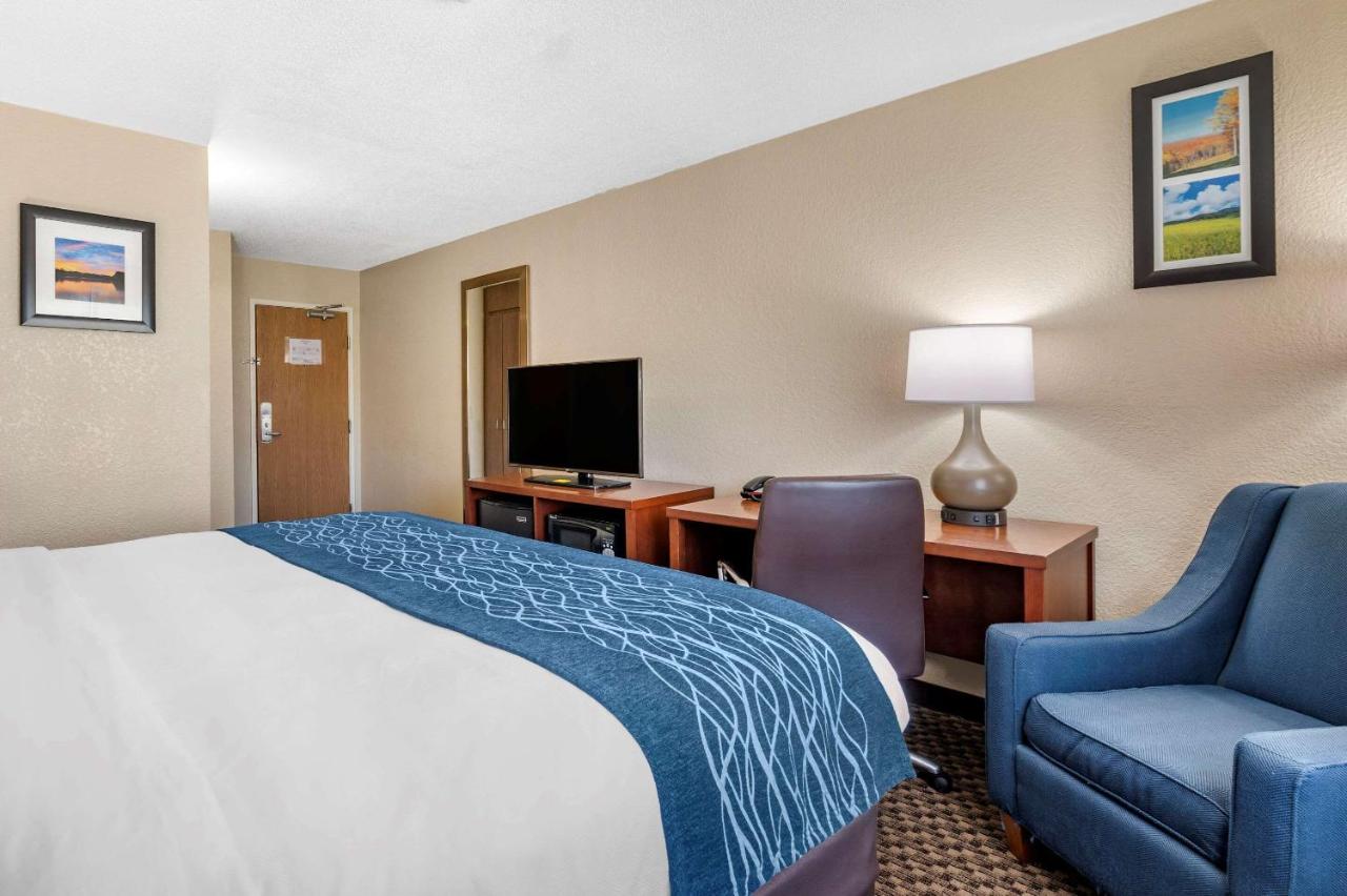 King Room - Non-Smoking at Comfort Inn Near Kokomo Speedway
