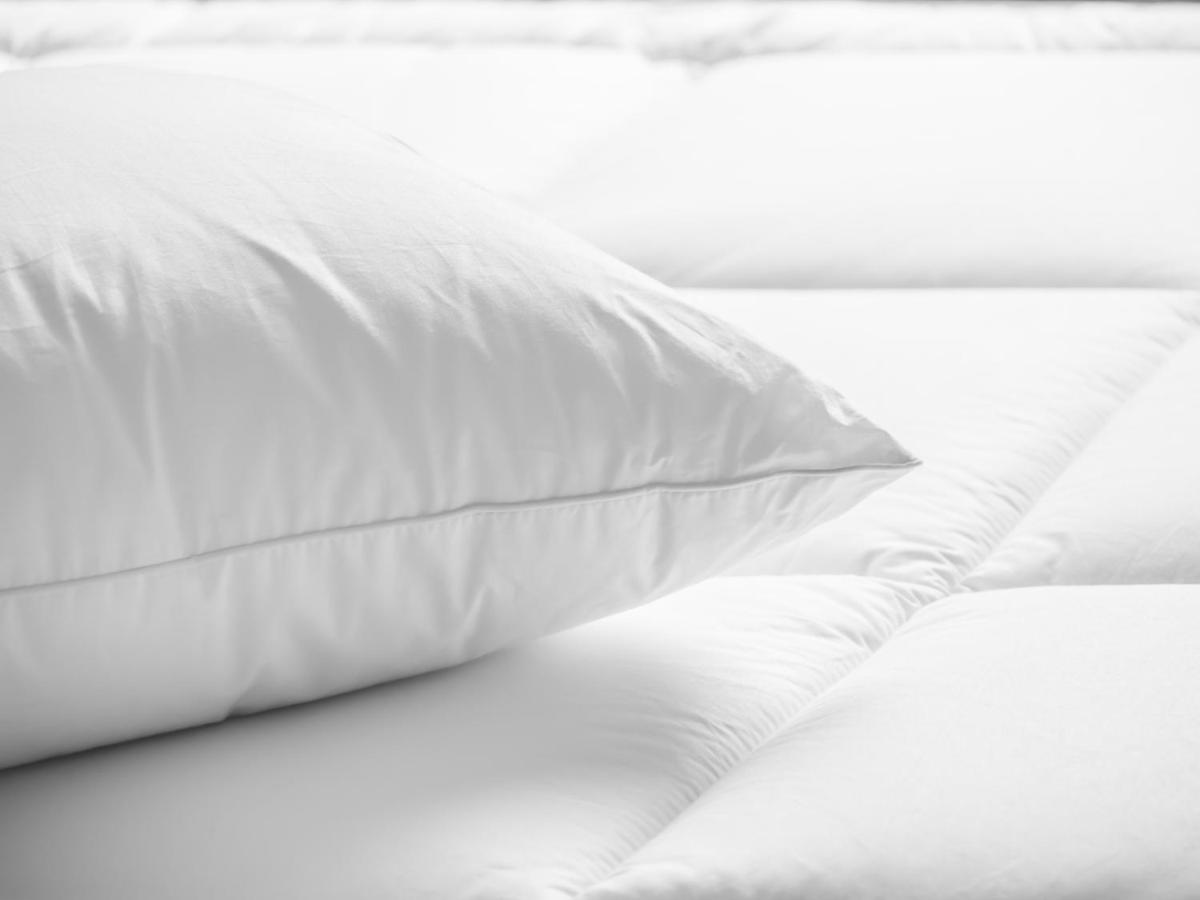 King Room - Disability Access at Capitol Plaza Hotel Jefferson City