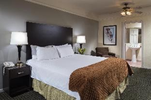 Room #5670624 at The Willows Hotel