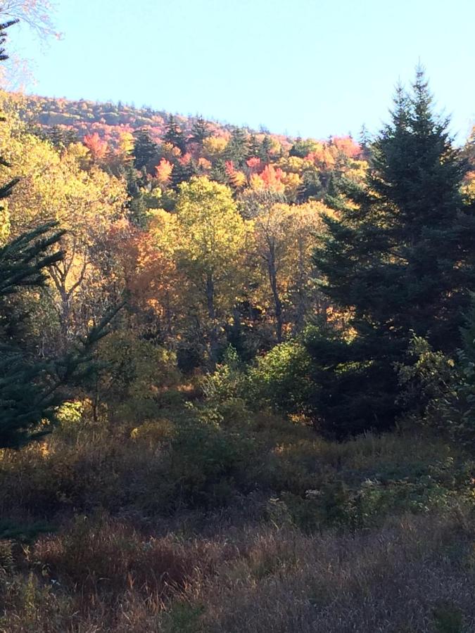 | BC Log cabin with private beach, river, fire pit, AC, wifi, onsite trails, ski slope views