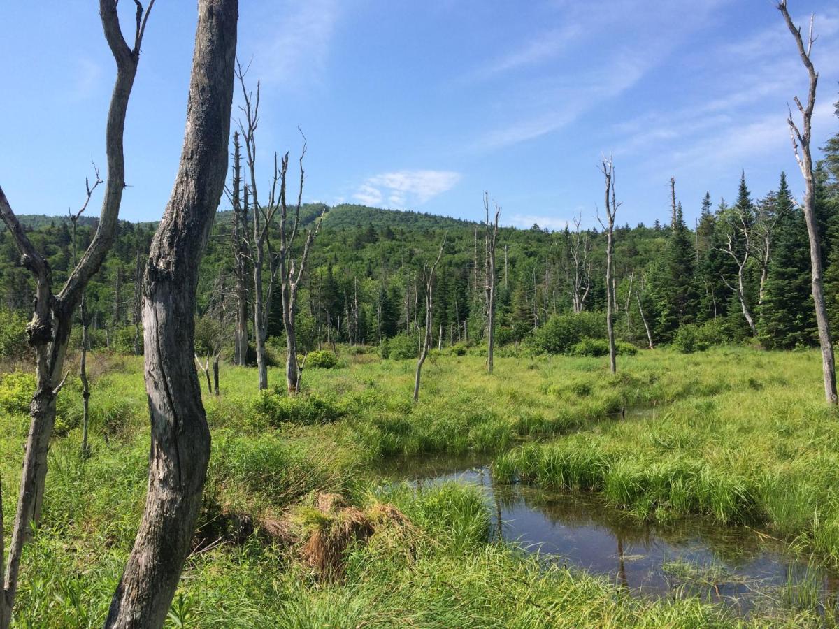  | BC Log cabin with private beach, river, fire pit, AC, wifi, onsite trails, ski slope views