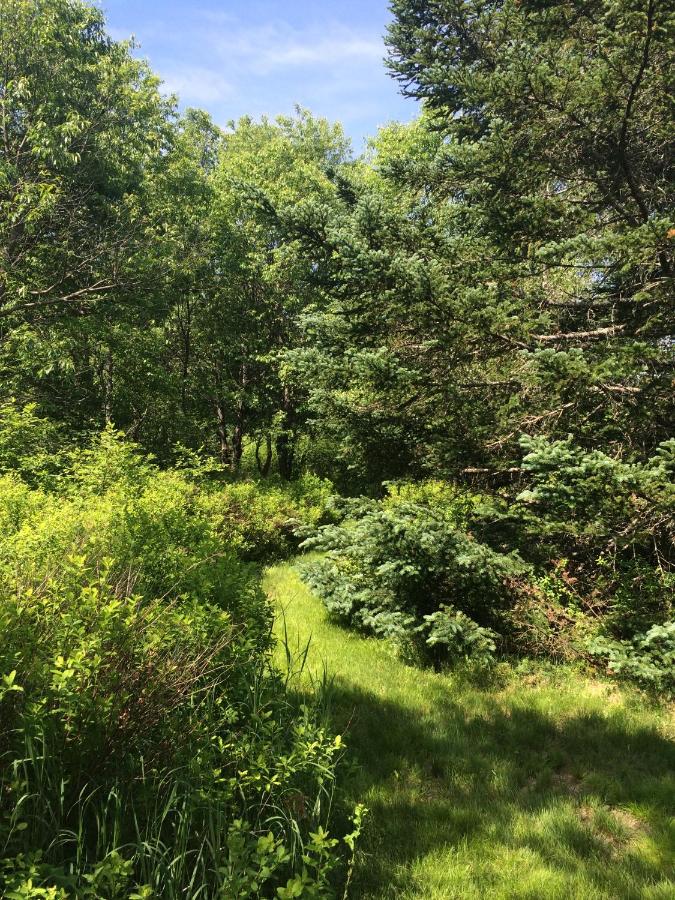 | BC Log cabin with private beach, river, fire pit, AC, wifi, onsite trails, ski slope views