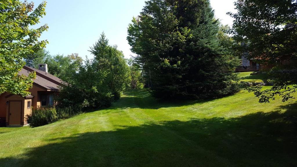 | O1 Slopeside Bretton Woods cottage with AC, large patio and private yard Walk to slopes