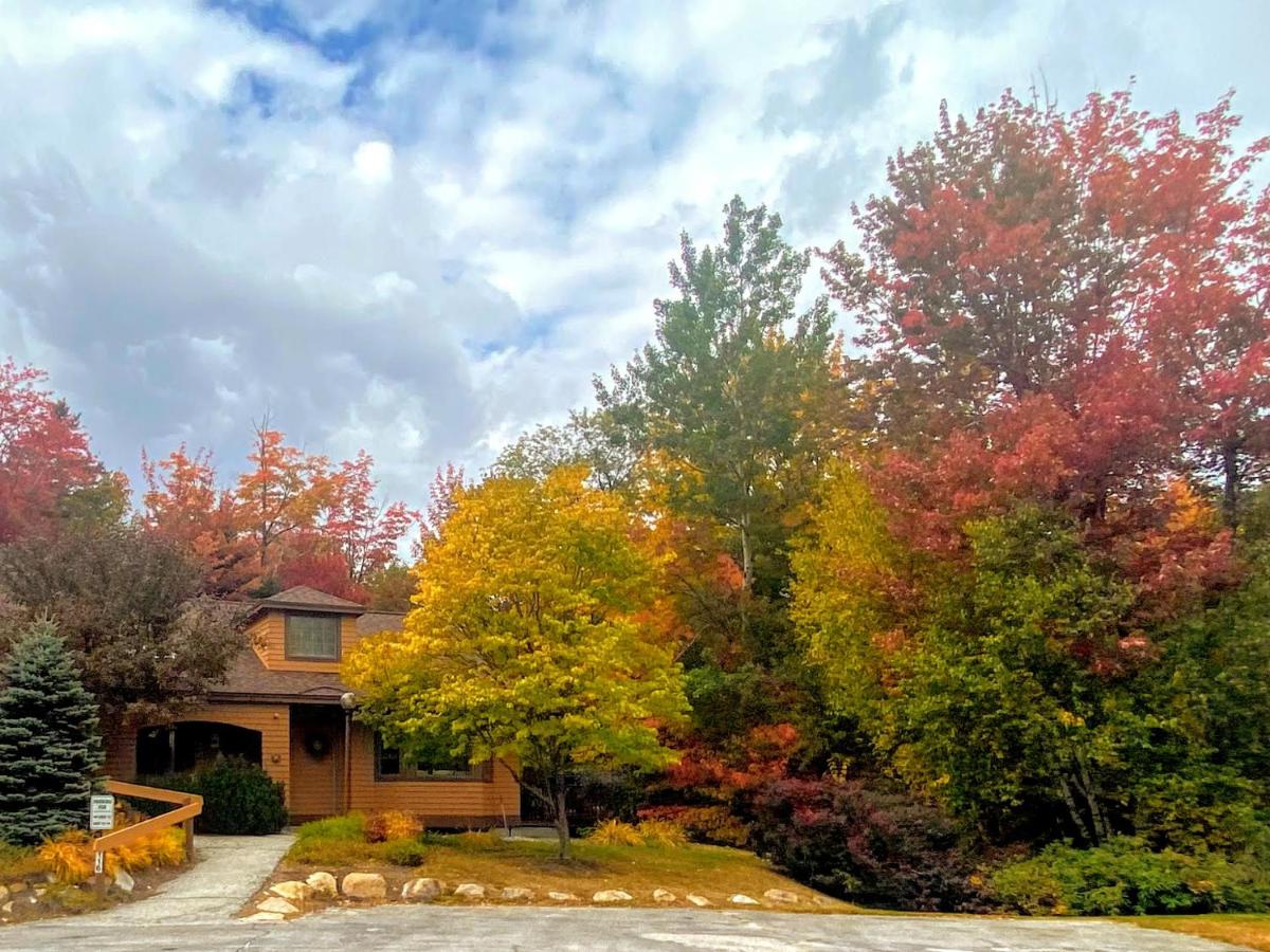 | O1 Slopeside Bretton Woods cottage with AC, large patio and private yard Walk to slopes