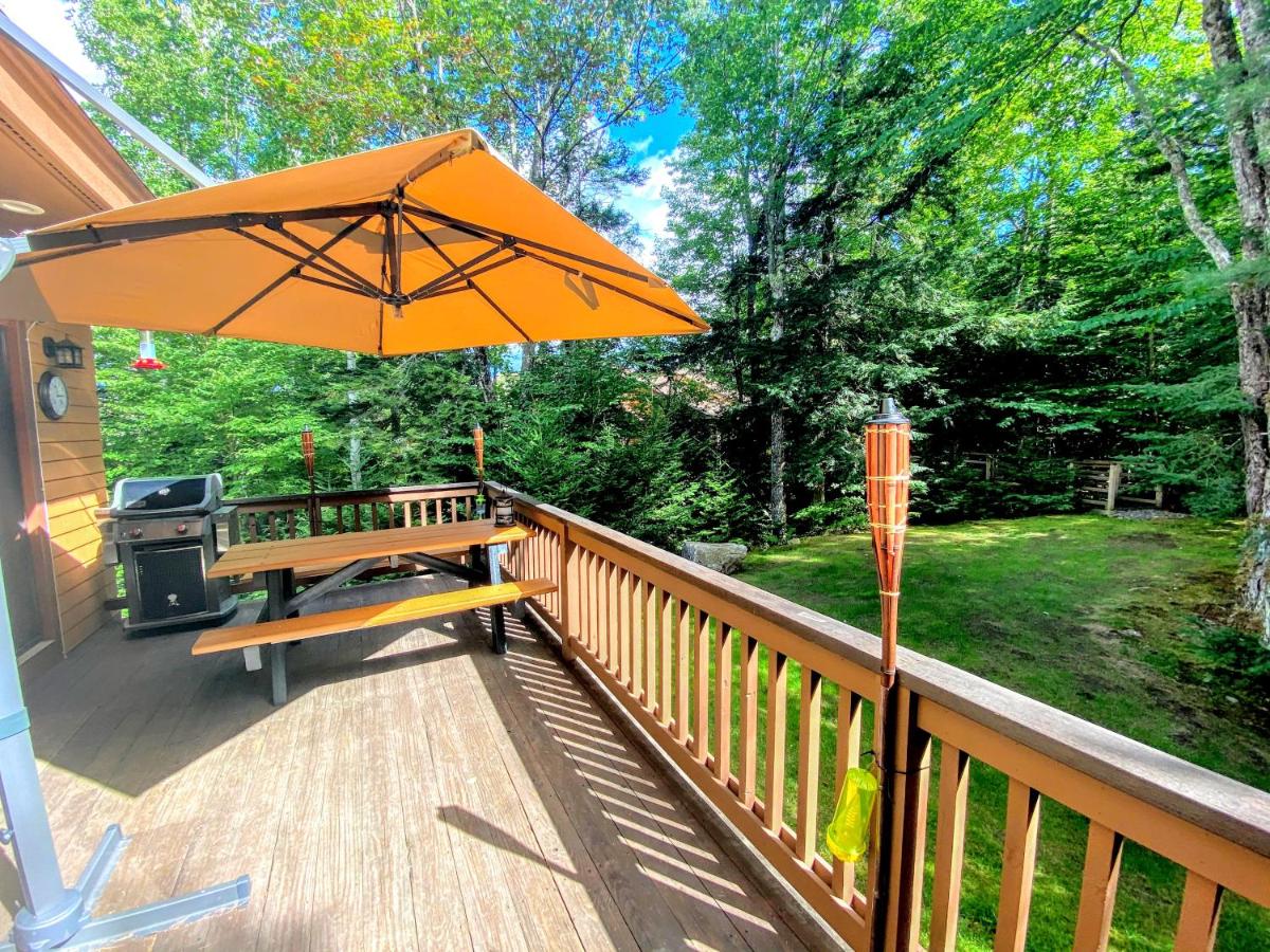 | O6 Newly renovated with high class upgrades Great ski access, boot warmer, ski rack, yard, AC