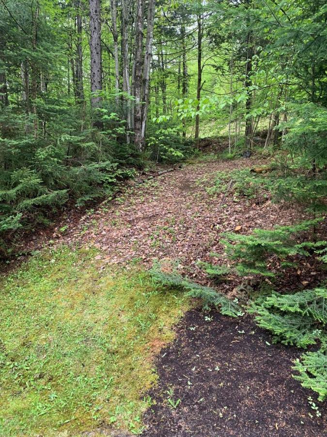 | R7 Ski-in Ski-out Bretton Woods Townhome on 2-mile home trail Mt Washington views