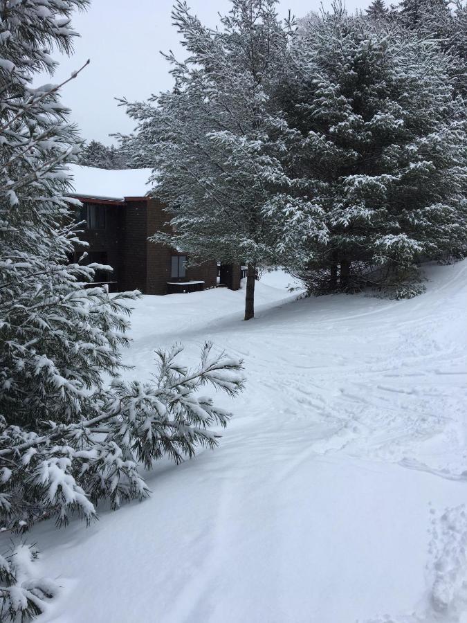 | V3 Gorgeous SKI-IN Mountain View Townhouse with great views in Bretton Woods Fast wifi
