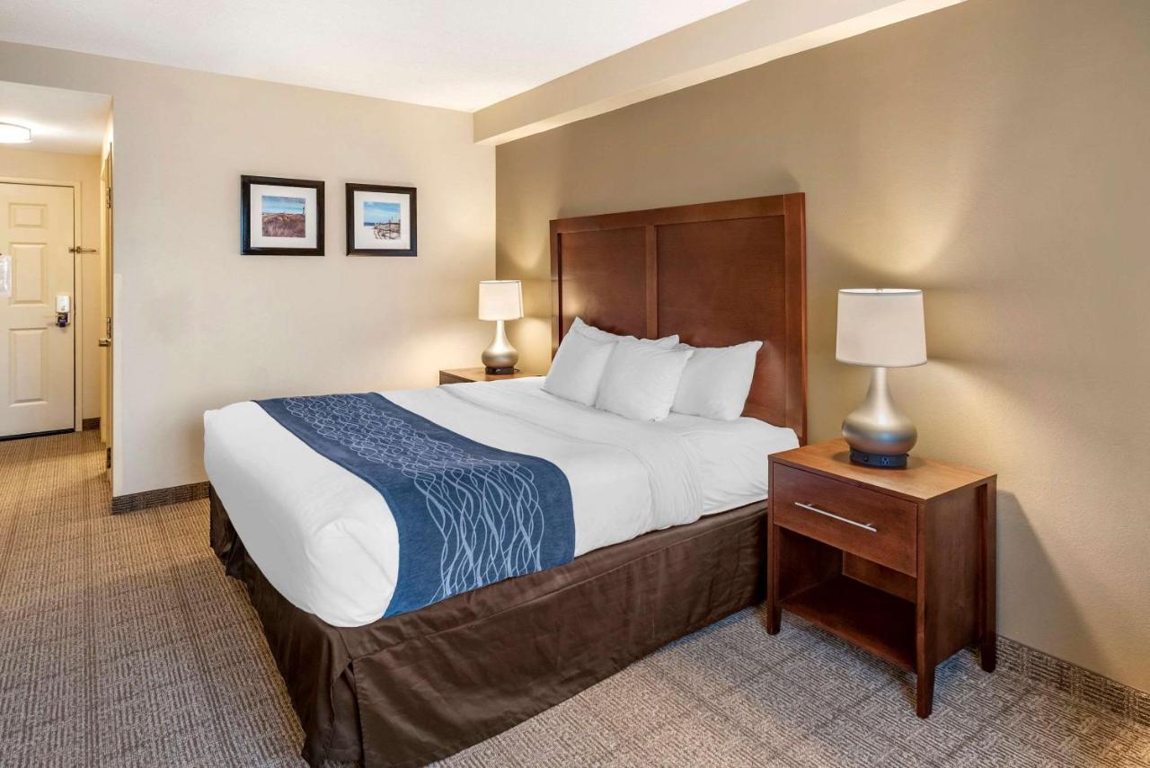 King Room - Non-Smoking at Comfort Inn & Suites Virginia Beach - Norfolk Airport