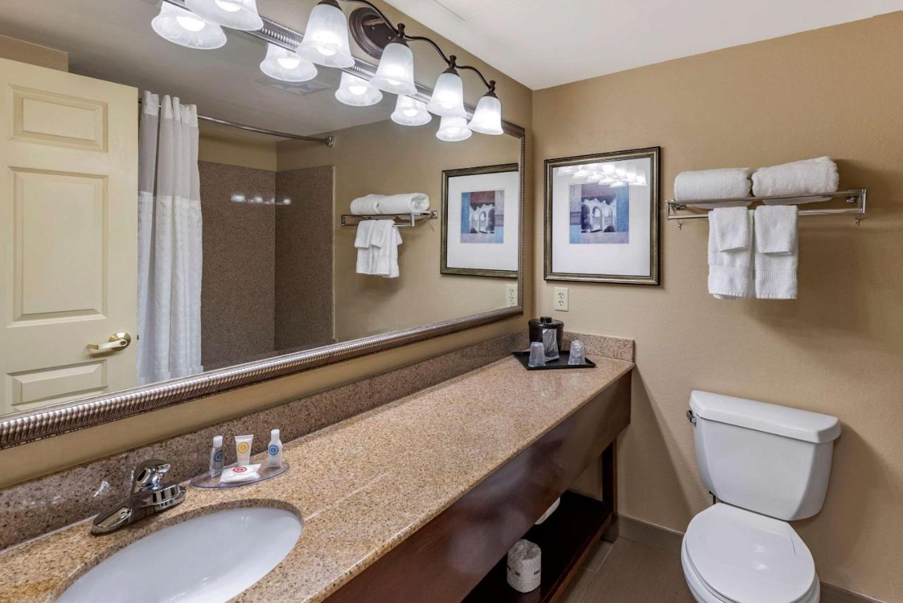 King Room - Non-Smoking at Comfort Inn & Suites Virginia Beach - Norfolk Airport