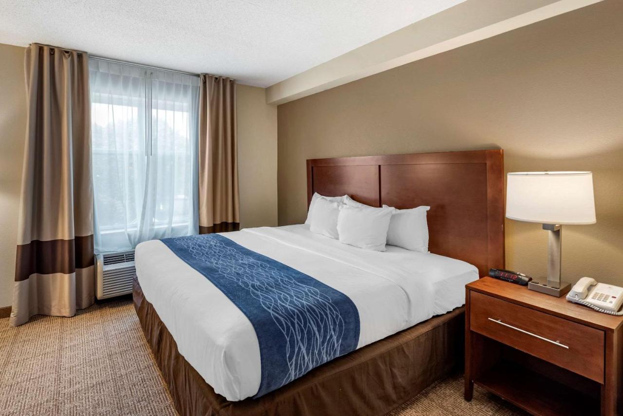 King Suite - Mobility Accessible/Non-Smoking at Comfort Inn & Suites Virginia Beach - Norfolk Airport