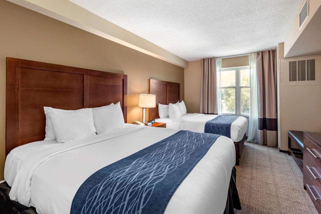 Queen Suite - Non-Smoking at Comfort Inn & Suites Virginia Beach - Norfolk Airport