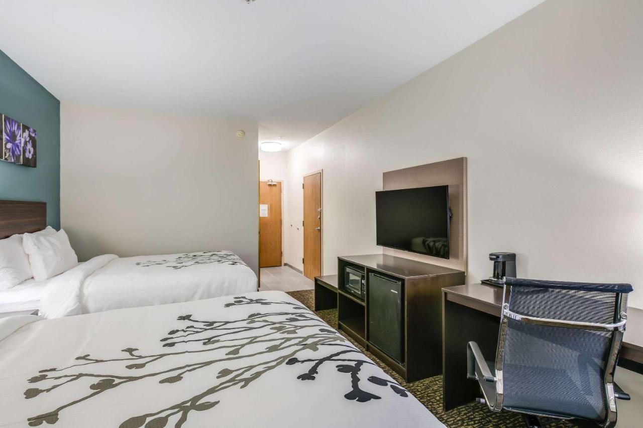 Standard Queen Room with Two Queen Beds - Non Smoking at Sleep Inn Clovis