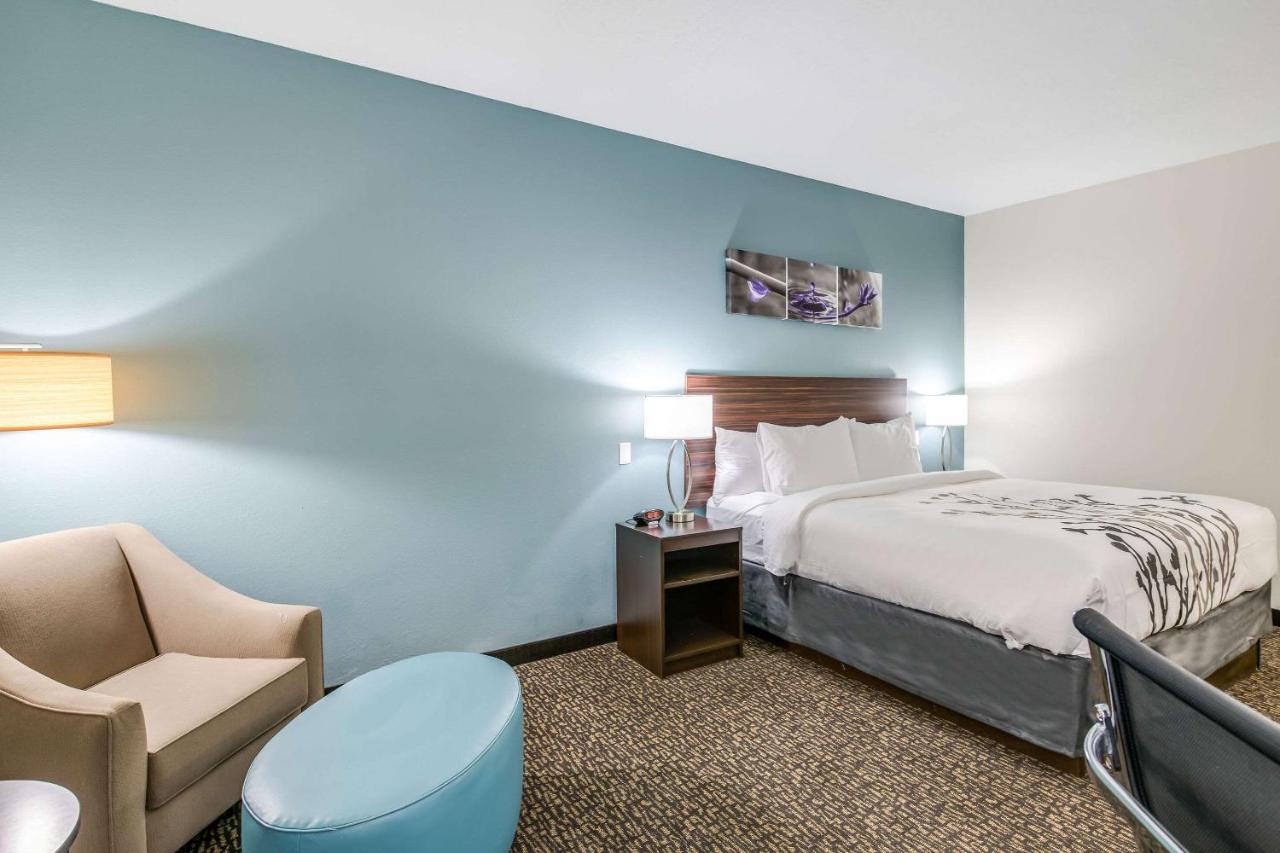 Standard King Room - Non Smoking at Sleep Inn Clovis