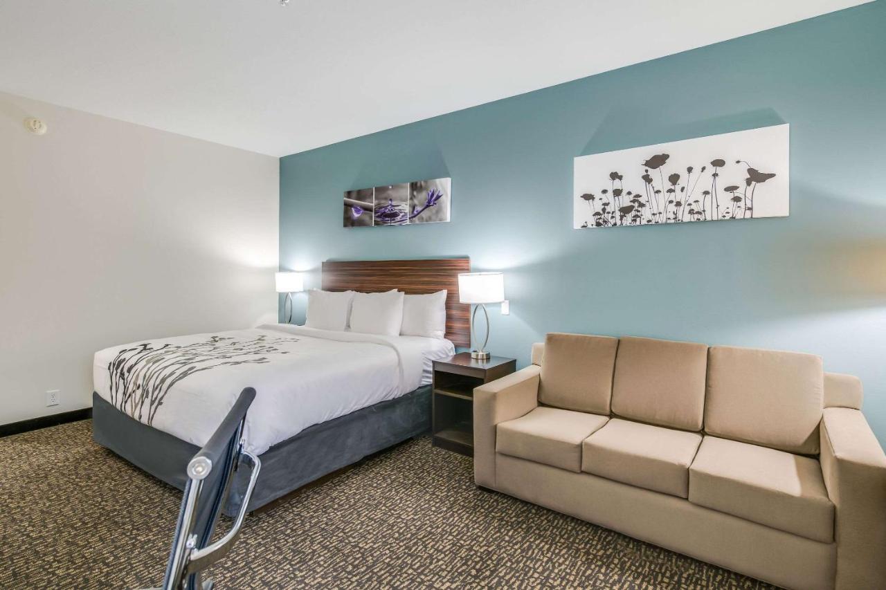 Executive King Room with Sofabed - Non Smoking at Sleep Inn Clovis