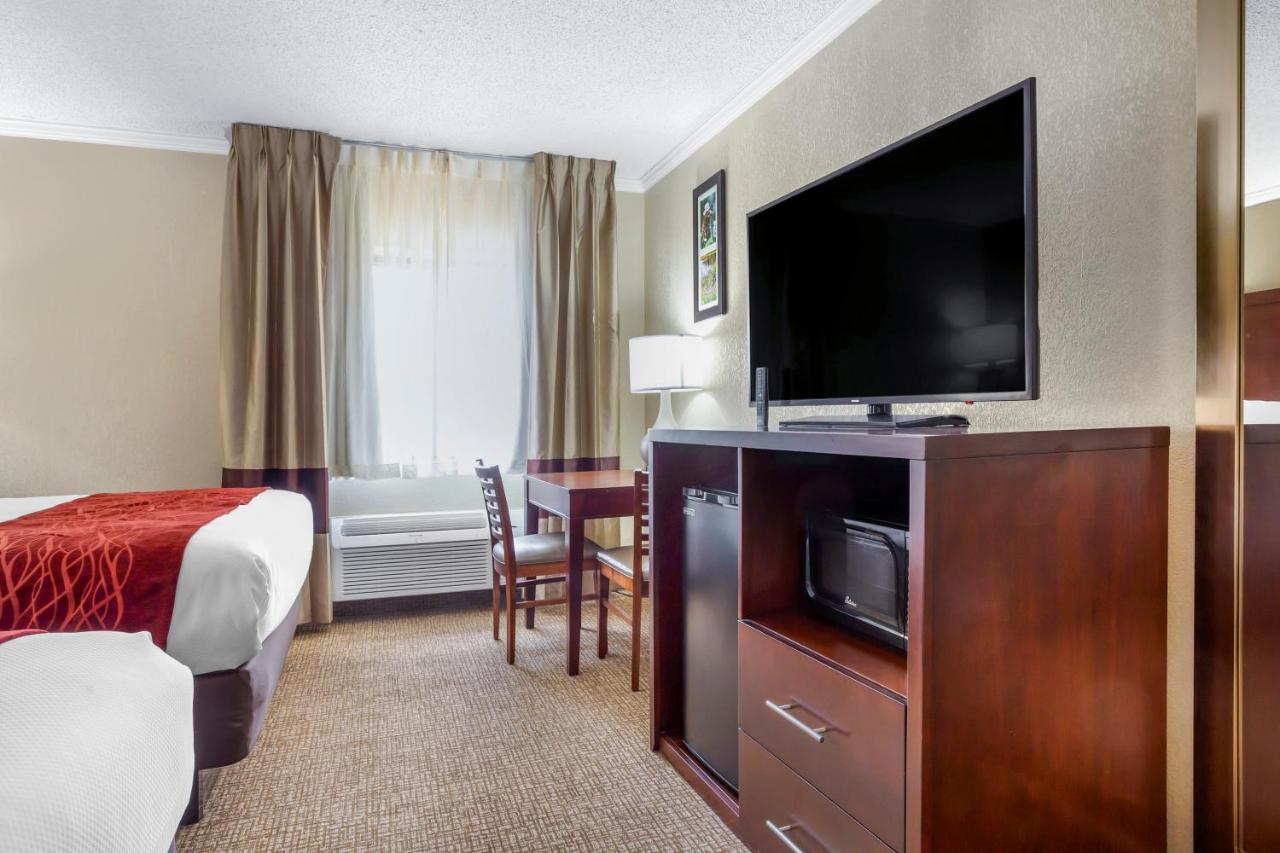 Queen Room with Two Queen Beds - Non Smoking at Comfort Inn Hoffman Estates - Schaumburg