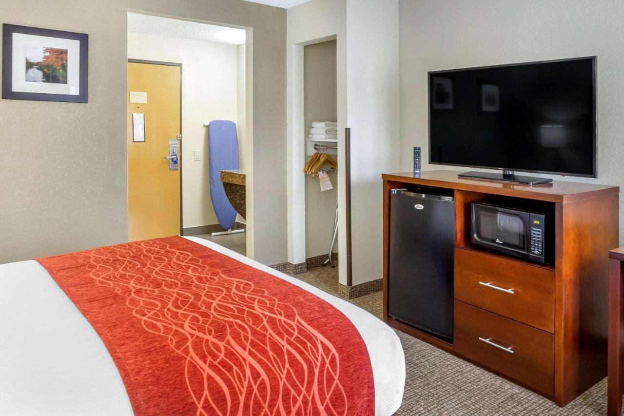 Queen Room with Roll-In Shower - Accessible/Non-Smoking at Comfort Inn Hoffman Estates - Schaumburg