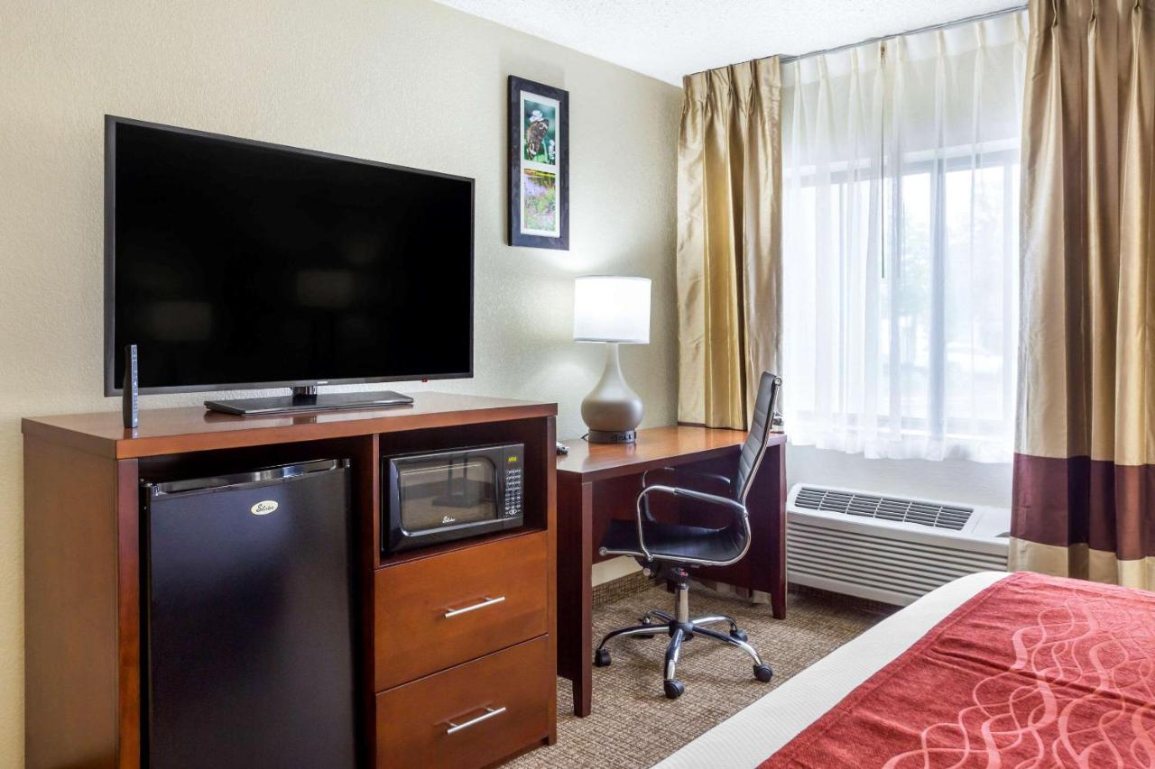 Queen Room with Roll-In Shower - Accessible/Non-Smoking at Comfort Inn Hoffman Estates - Schaumburg