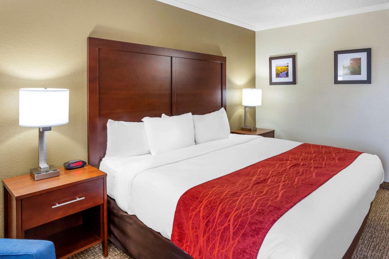King Room - Non-Smoking at Comfort Inn Hoffman Estates - Schaumburg