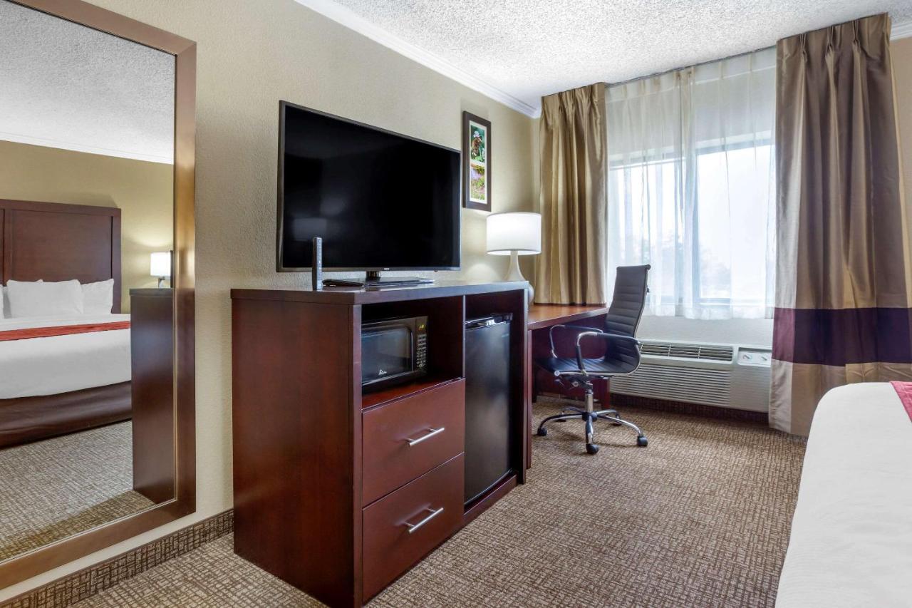 King Room - Non-Smoking at Comfort Inn Hoffman Estates - Schaumburg