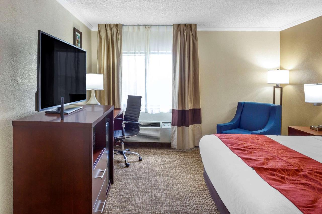 King Room - Non-Smoking at Comfort Inn Hoffman Estates - Schaumburg