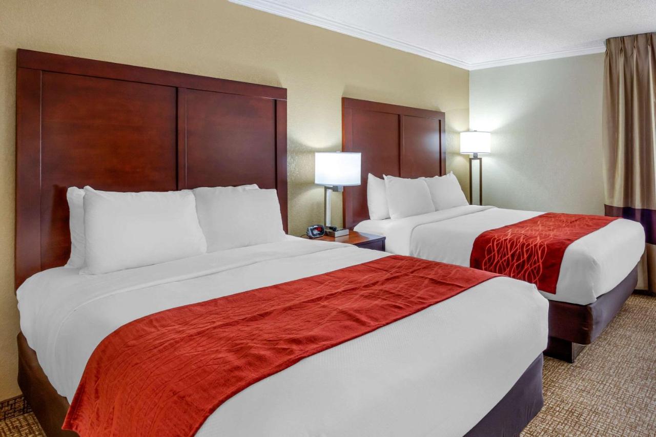 Queen Room with Two Queen Beds - Non Smoking at Comfort Inn Hoffman Estates - Schaumburg
