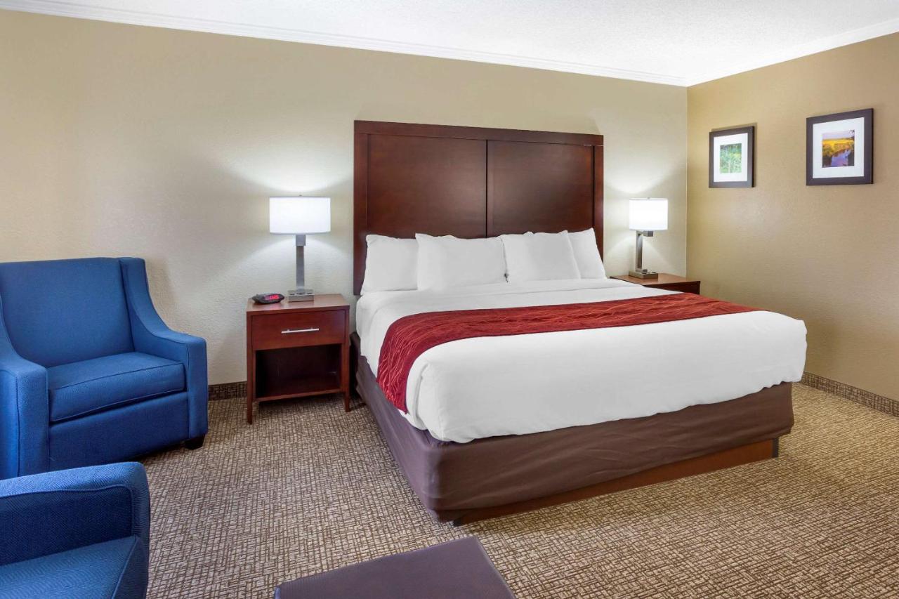 King Suite - Non-Smoking at Comfort Inn Hoffman Estates - Schaumburg