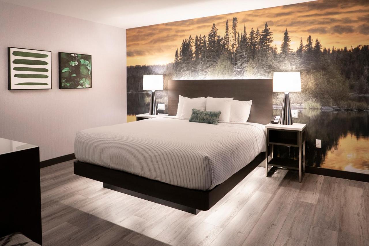 | Cambria Hotel Detroit-Shelby Township