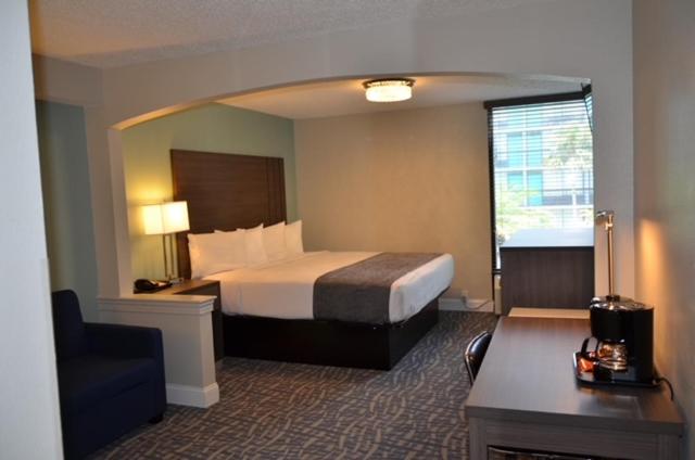 Executive Renovated King Renovated at Opal Hotel & Suites