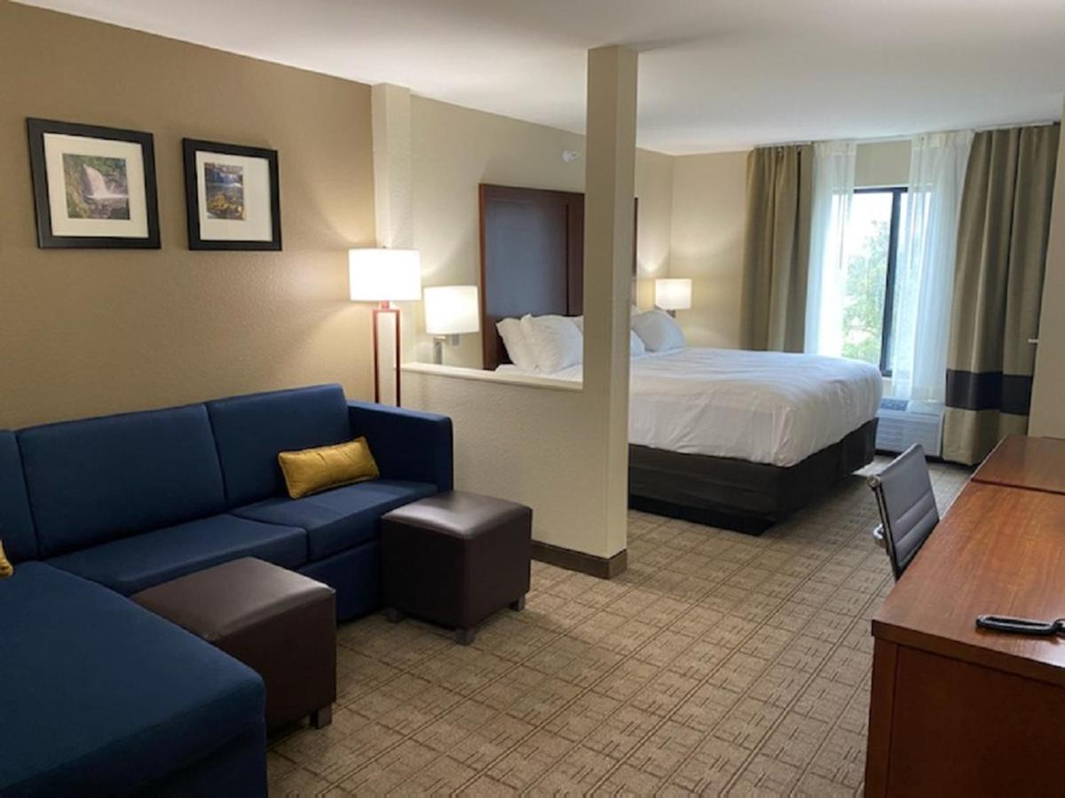 King Suite with Sofabed and Transfer Shower, Roll-In Shower - Accessible/Non Smoking at Comfort Inn & Suites Aztec - Farmington Area