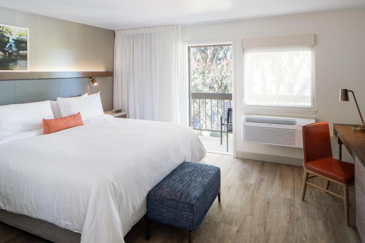 Premier Suite at The Domain Hotel