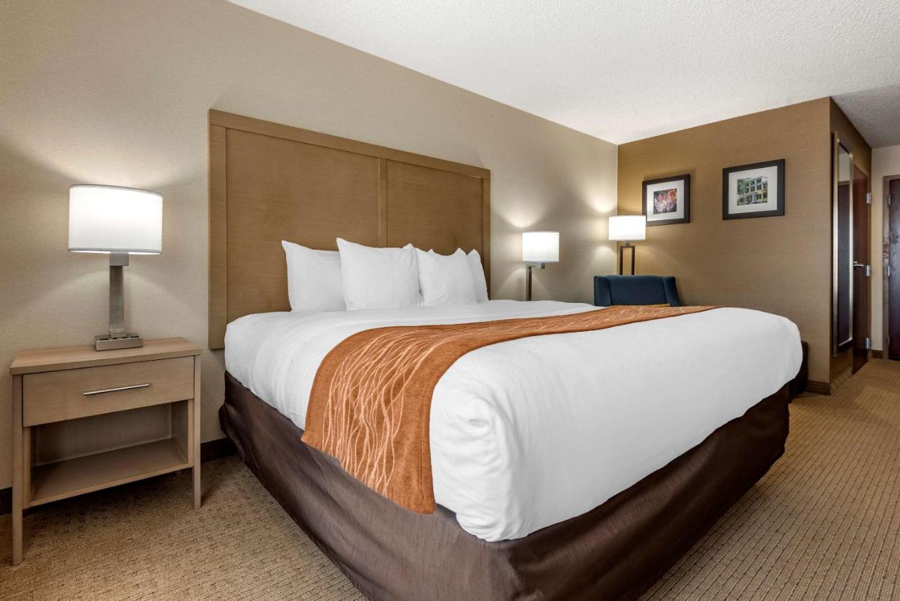 | Comfort Inn & Suites Farmington - Victor
