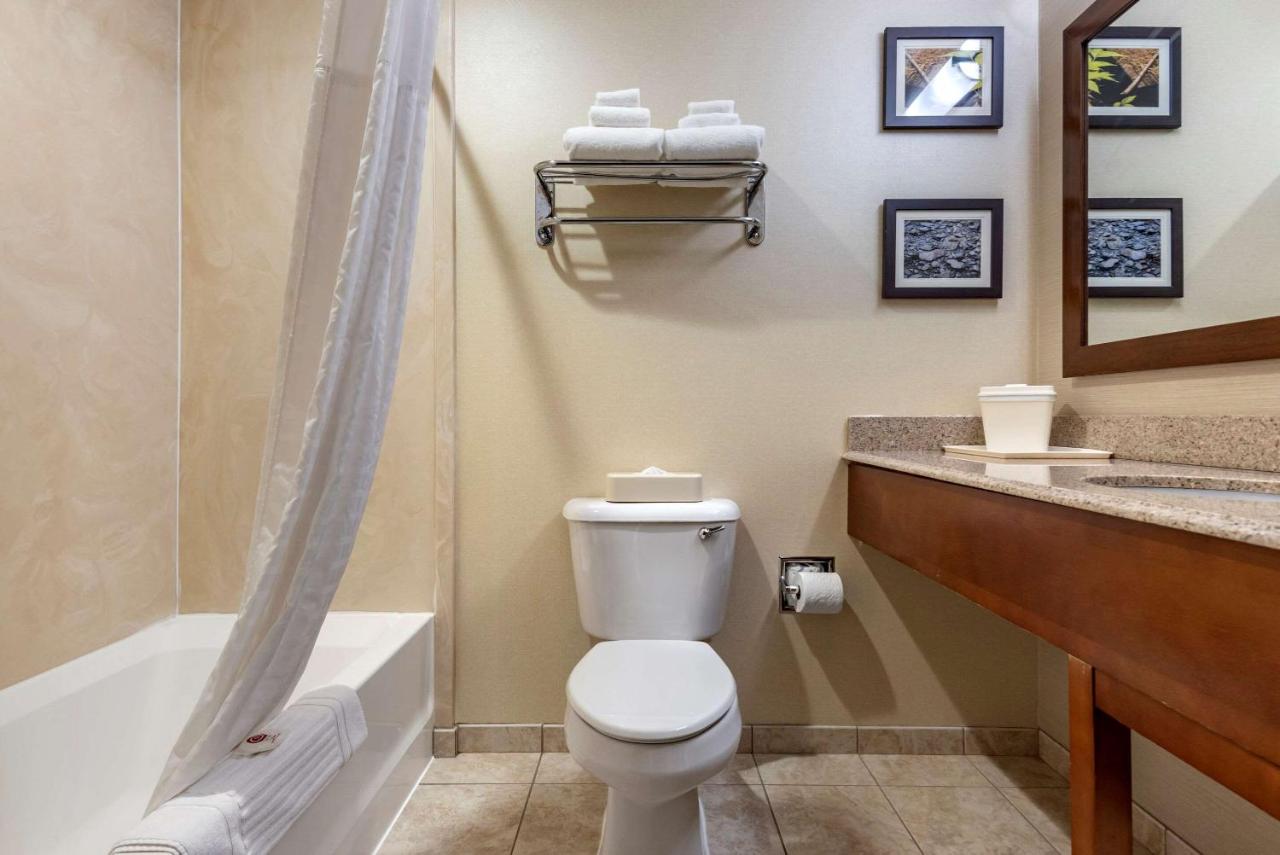 | Comfort Inn & Suites Farmington - Victor