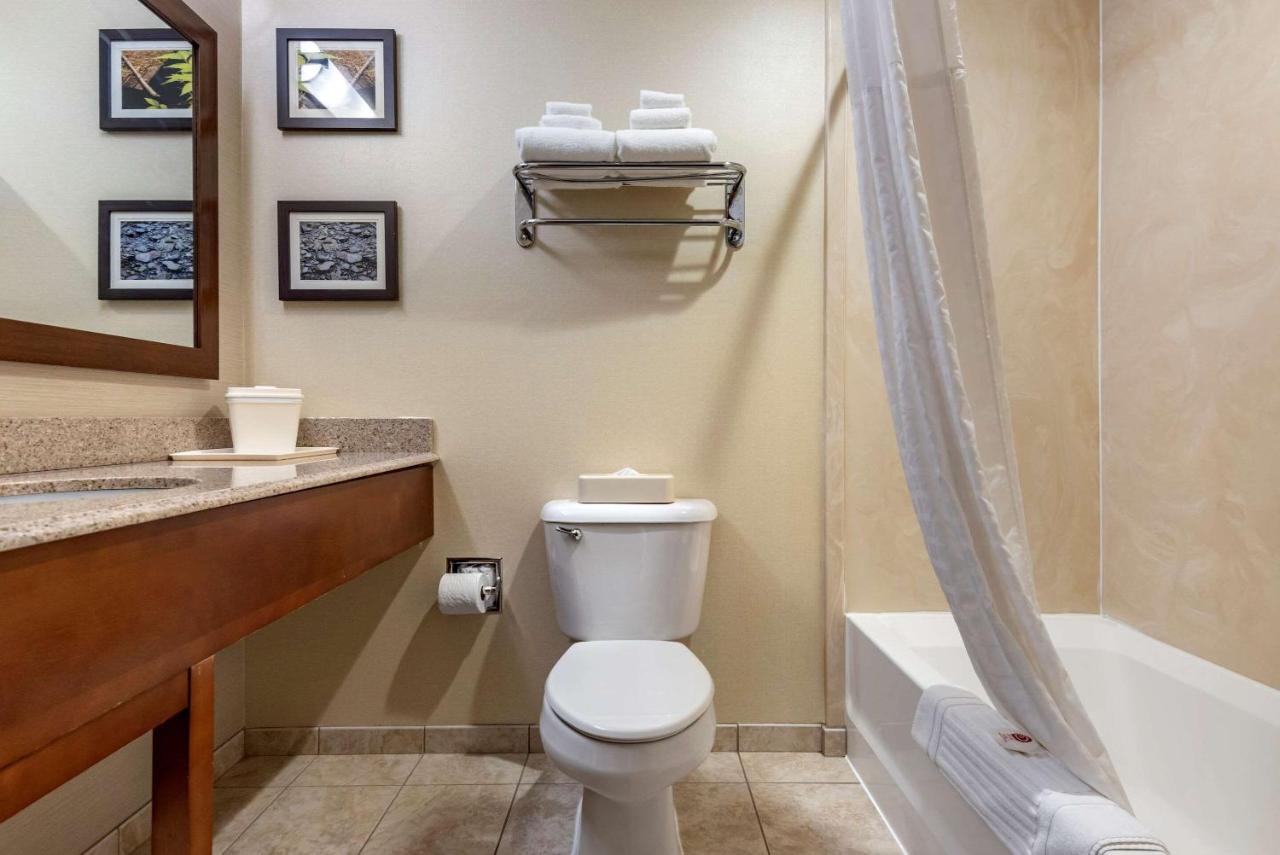 | Comfort Inn & Suites Farmington - Victor