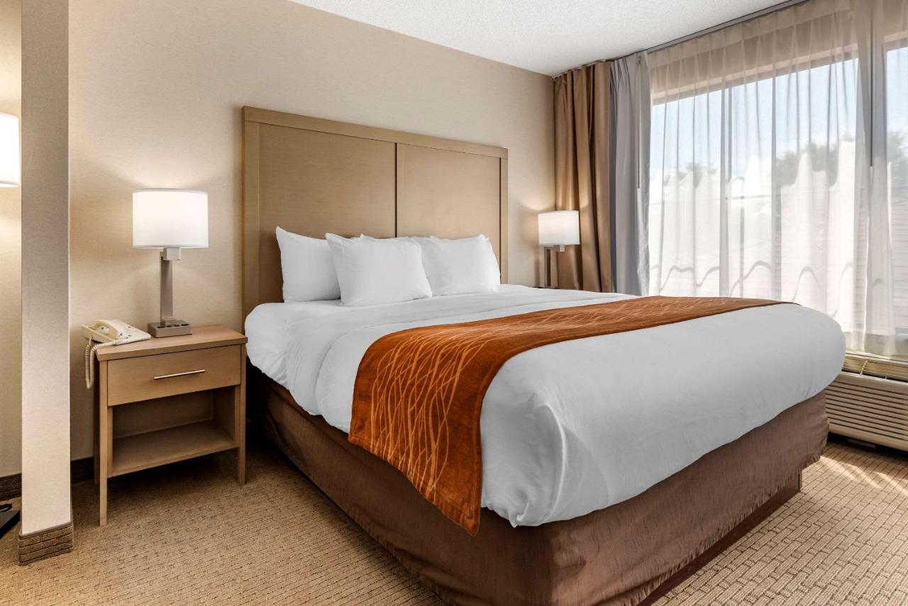 | Comfort Inn & Suites Farmington - Victor