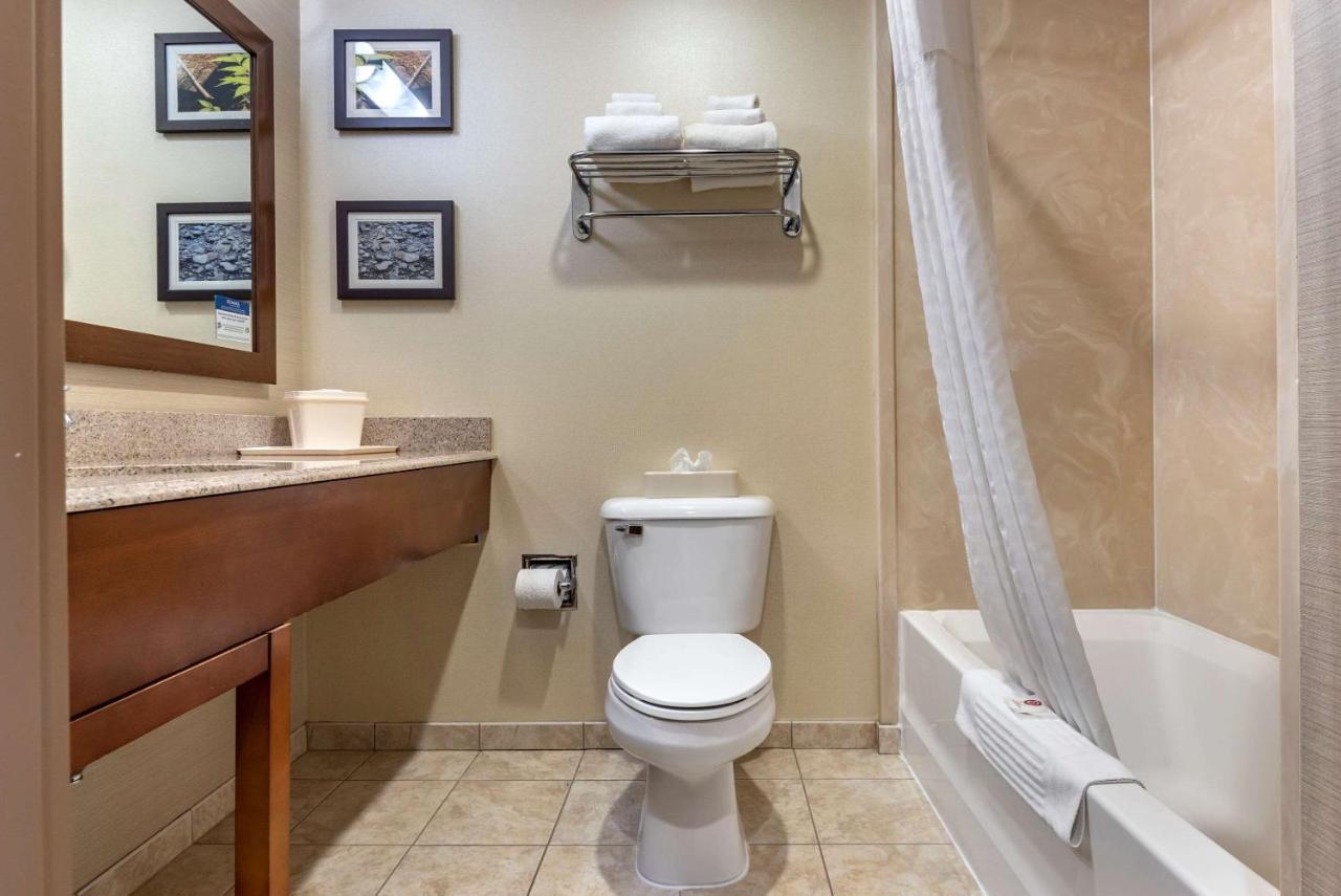 | Comfort Inn & Suites Farmington - Victor