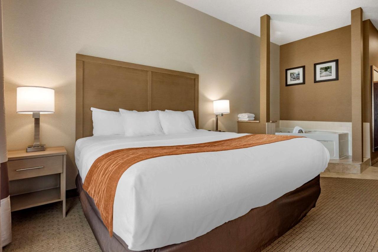  | Comfort Inn & Suites Farmington - Victor