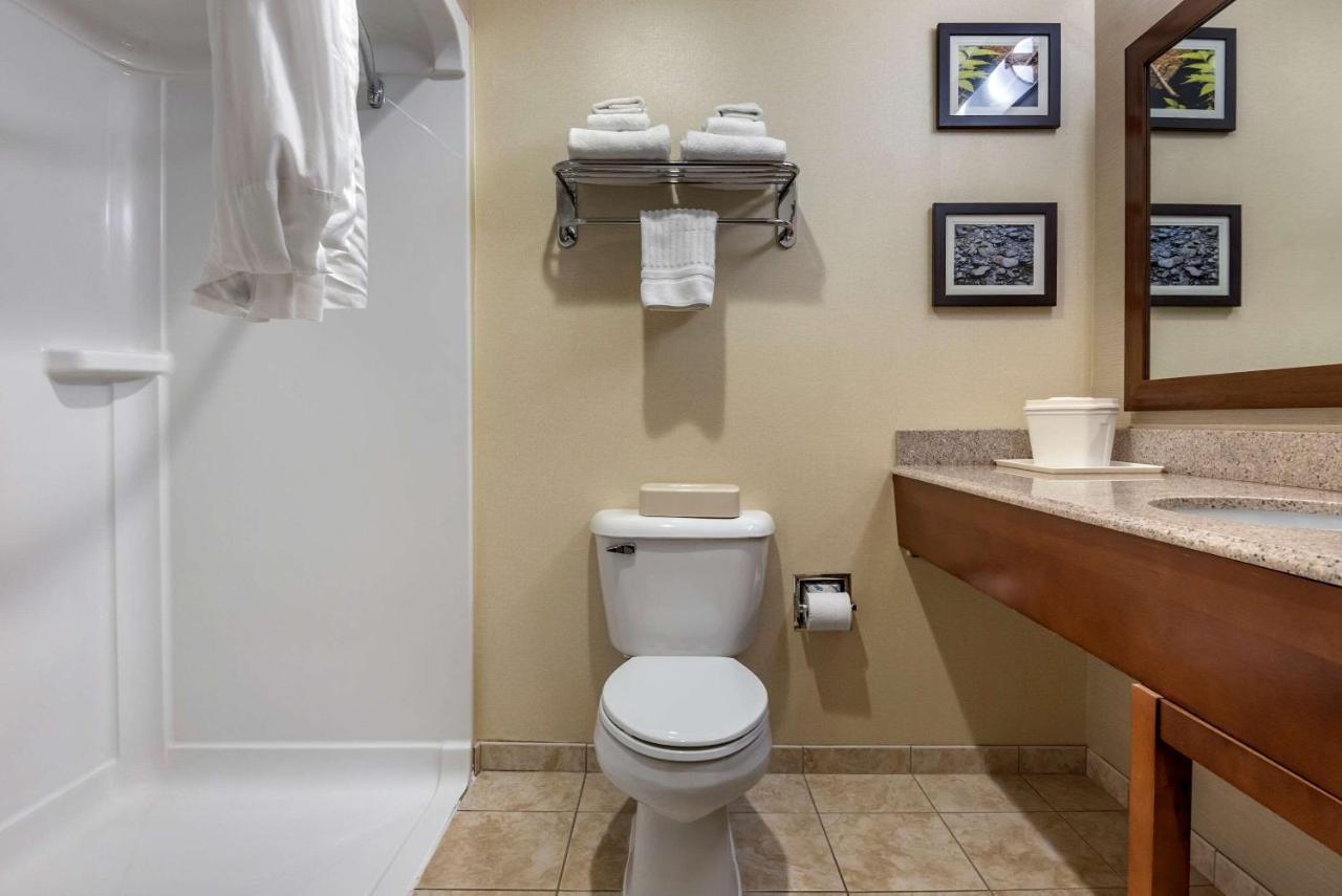 | Comfort Inn & Suites Farmington - Victor